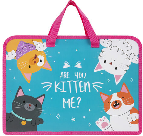 Папка на молнии с ручками ЮНЛАНДИЯ А4, 1 отделение, пластик, ширина 45 мм, "Cat gang", 272148