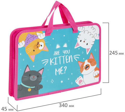 Папка на молнии с ручками ЮНЛАНДИЯ А4, 1 отделение, пластик, ширина 45 мм, "Cat gang", 272148