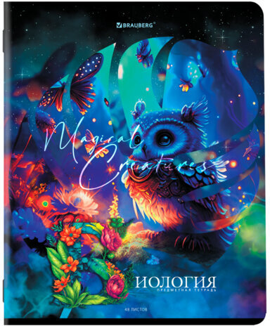 Тетради предметные, КОМПЛЕКТ 12 ПРЕДМЕТОВ, "DREAM WORLD", 48 л., глянцевый УФ-лак, BRAUBERG, 404842