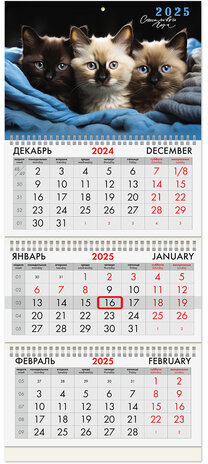 Календарь квартальный на 2025 г., 3 блока, 3 гребня, с бегунком, мелованная бумага, BRAUBERG, "Милые котики", 116138