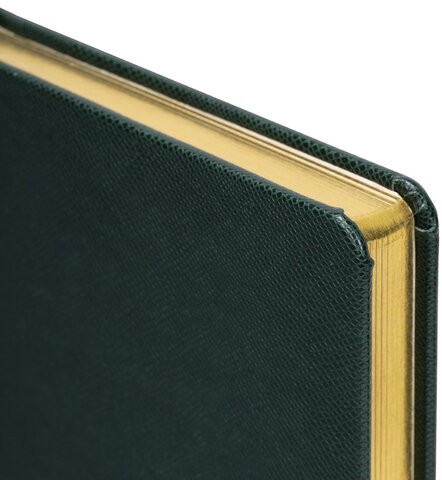 Ежедневник недатированный А5 138х213 мм BRAUBERG "Iguana", под кожу, 160 л., тёмно-зеленый, 114457