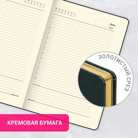 Ежедневник недатированный А5 138х213 мм BRAUBERG "Iguana", под кожу, 160 л., тёмно-зеленый, 114457