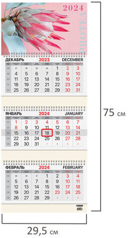 Календарь квартальный на 2024 г., 3 блока, 3 гребня, с бегунком, мелованная бумага, BRAUBERG, "Protea", 115290