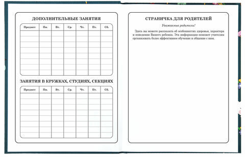 Дневник 1-4 класс 48 л., твердый, ЮНЛАНДИЯ, глянцевая ламинация, с подсказом, "Kittycorn", 106346