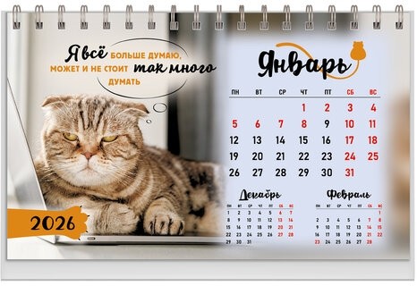 Календарь-домик настольный на гребне, 2026г, BRAUBERG, 160х110мм, 6 листов, Котики, 117296