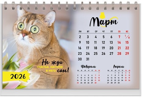 Календарь-домик настольный на гребне, 2026г, BRAUBERG, 160х110мм, 6 листов, Котики, 117296