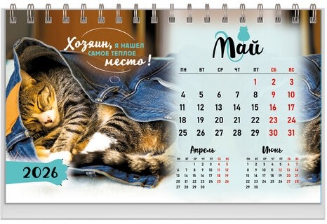 Календарь-домик настольный на гребне, 2026г, BRAUBERG, 160х110мм, 6 листов, Котики, 117296