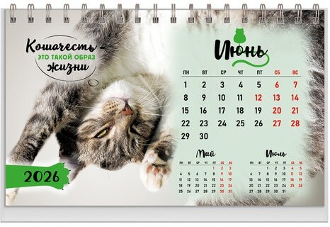 Календарь-домик настольный на гребне, 2026г, BRAUBERG, 160х110мм, 6 листов, Котики, 117296