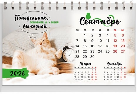 Календарь-домик настольный на гребне, 2026г, BRAUBERG, 160х110мм, 6 листов, Котики, 117296