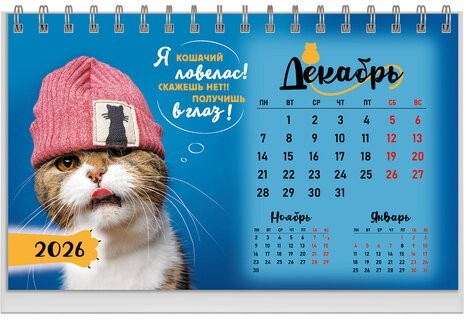 Календарь-домик настольный на гребне, 2026г, BRAUBERG, 160х110мм, 6 листов, Котики, 117296