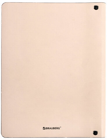 Тетрадь на кольцах А5 (180х220 мм), 80 л., под кожу, BRAUBERG VISTA, "Shed your skin", 112133