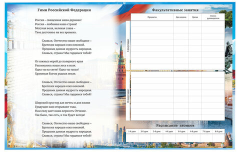 Дневник 1-11 класс 40 л., твердый, BRAUBERG, ламинация, цветная печать, "РОССИЙСКОГО ШКОЛЬНИКА-9", 106861