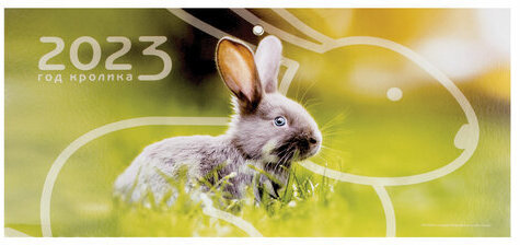 Календарь квартальный с бегунком 2023 г., 4 блока, 4 гребня, БИЗНЕС, "Год Кролика", HATBER, 4Кв4гр3_27967