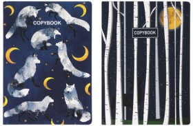 Тетради 60 л. в точку обложка SoftTouch, НАБОР 2 шт., бежевая бумага 70 г/м2, сшивка, B5 (179х250 мм), НОЧЬ, BRAUBERG, 403829