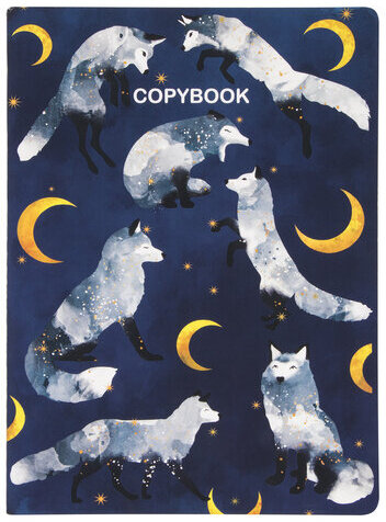 Тетради 60 л. в точку обложка SoftTouch, НАБОР 2 шт., бежевая бумага 70 г/м2, сшивка, B5 (179х250 мм), НОЧЬ, BRAUBERG, 403829