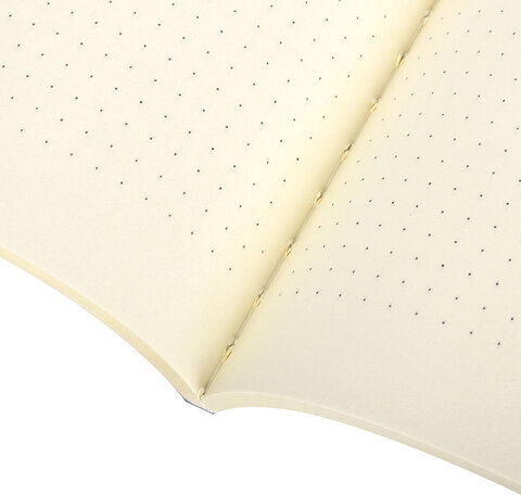 Тетради 60 л. в точку обложка SoftTouch, НАБОР 2 шт., бежевая бумага 70 г/м2, сшивка, B5 (179х250 мм), НОЧЬ, BRAUBERG, 403829