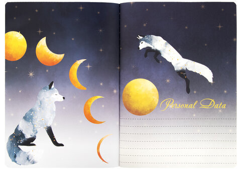 Тетради 60 л. в точку обложка SoftTouch, НАБОР 2 шт., бежевая бумага 70 г/м2, сшивка, B5 (179х250 мм), НОЧЬ, BRAUBERG, 403829