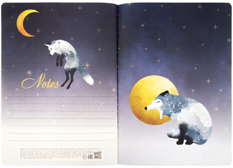 Тетради 60 л. в точку обложка SoftTouch, НАБОР 2 шт., бежевая бумага 70 г/м2, сшивка, B5 (179х250 мм), НОЧЬ, BRAUBERG, 403829