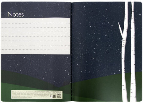 Тетради 60 л. в точку обложка SoftTouch, НАБОР 2 шт., бежевая бумага 70 г/м2, сшивка, B5 (179х250 мм), НОЧЬ, BRAUBERG, 403829