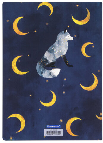 Тетради 60 л. в точку обложка SoftTouch, НАБОР 2 шт., бежевая бумага 70 г/м2, сшивка, B5 (179х250 мм), НОЧЬ, BRAUBERG, 403829