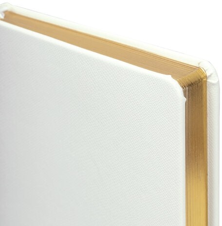 Ежедневник недатированный А5 138х213 мм, BRAUBERG "Iguana", под кожу, 160 л., белый, 114458