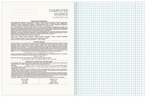 Тетрадь предметная "AVOCADO" 48 л., глянцевый лак, ИНФОРМАТИКА, клетка, BRAUBERG, 404279
