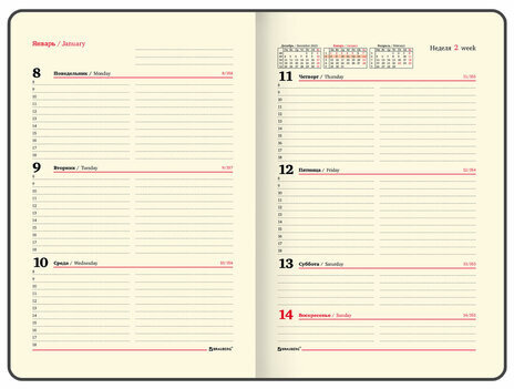 Еженедельник датированный 2024 А5 145х215 мм BRAUBERG "Augustus", под кожу, темно-синий, 115018