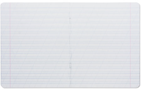 Тетрадь 12 л. BRAUBERG, косая линия, обложка картон, ТОЧКИ, 103033