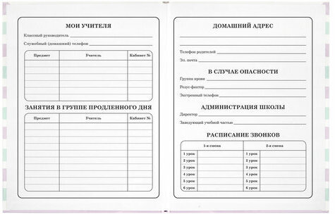 Дневник 1-4 класс 48 л., твердый, ЮНЛАНДИЯ, глянцевая ламинация, с подсказом, "Princess", 106347