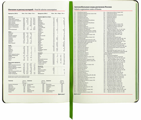 Ежедневник недатированный А5 (138х213 мм), BRAUBERG VISTA, под кожу, гибкий, 136 л., "Revival", 112030