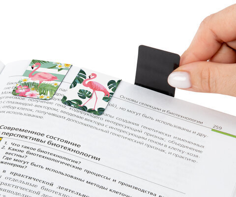 Закладки для книг МАГНИТНЫЕ, "FLAMINGO", набор 6 шт., 35x25 мм, BRAUBERG, 113165