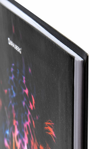 Дневник 5-11 класс 48 л., гибкая обложка, BRAUBERG, глянцевая ламинация, с подсказом, "Гепард", 106862