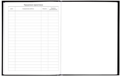 Дневник 5-11 класс 48 л., гибкая обложка, BRAUBERG, глянцевая ламинация, с подсказом, "Гепард", 106862