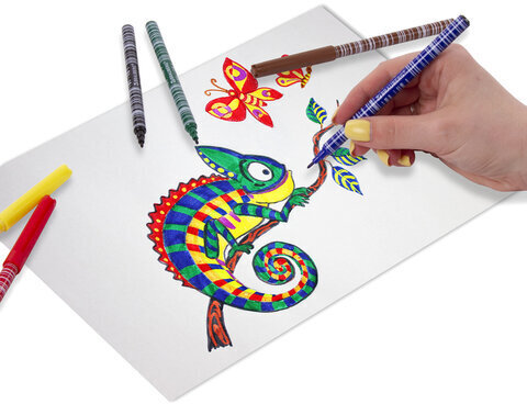 Фломастеры BRAUBERG "PREMIUM", 12 цветов, КОРПУС С ПЕЧАТЬЮ, вентилируемый колпачок, ПВХ-упаковка с европодвесом, 151942