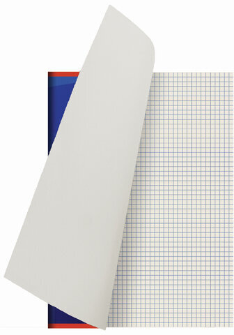 Тетрадь А4 80 л. STAFF Basic скоба, клетка, офсет №2 ЭКОНОМ, обложка картон, СТАНДАРТ, 402650