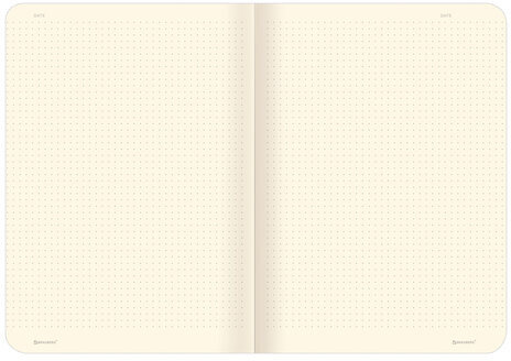 Тетради 60 л. в точку обложка SoftTouch, НАБОР 2 шт., бежевая бумага 70 г/м2, сшивка, B5 (179х250 мм), NIGHT/DAY, BRAUBERG, 403830