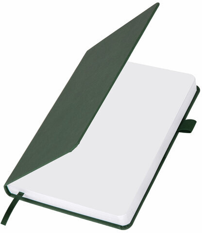 Ежедневник датированный 2024 А5 138x213 мм BRAUBERG "Control", под кожу, держатель для ручки, зеленый, 114916