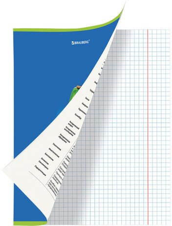 Тетрадь предметная "AVOCADO" 48 л., глянцевый лак, ЛИТЕРАТУРА, линия, подсказ, BRAUBERG, 404281
