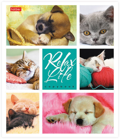 Тетрадь 24 л., HATBER, клетка, обложка картон, "Relax Life" (5 видов), 24Т5В1