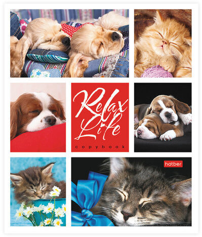 Тетрадь 24 л., HATBER, клетка, обложка картон, "Relax Life" (5 видов), 24Т5В1