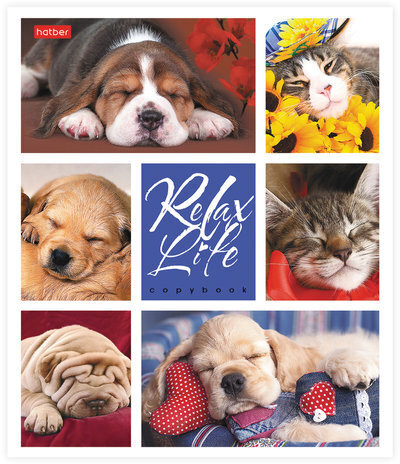 Тетрадь 24 л., HATBER, клетка, обложка картон, "Relax Life" (5 видов), 24Т5В1