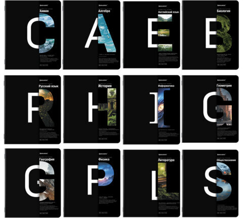 Тетради предметные, КОМПЛЕКТ 12 ПРЕДМЕТОВ, INTELLIGENCE, 48 л., матовая ламинация, BRAUBERG, 404845