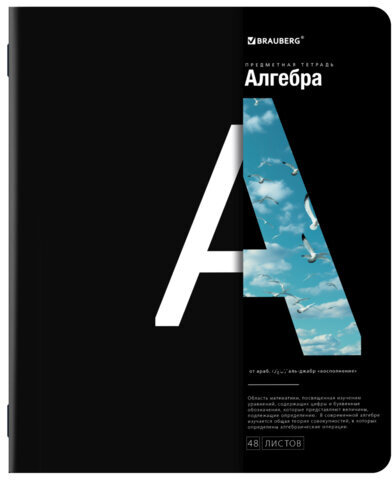 Тетради предметные, КОМПЛЕКТ 12 ПРЕДМЕТОВ, INTELLIGENCE, 48 л., матовая ламинация, BRAUBERG, 404845