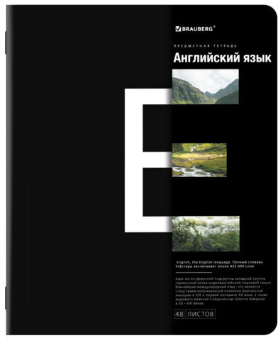 Тетради предметные, КОМПЛЕКТ 12 ПРЕДМЕТОВ, INTELLIGENCE, 48 л., матовая ламинация, BRAUBERG, 404845