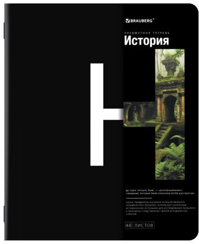 Тетради предметные, КОМПЛЕКТ 12 ПРЕДМЕТОВ, INTELLIGENCE, 48 л., матовая ламинация, BRAUBERG, 404845