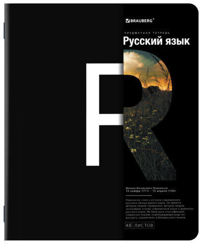 Тетради предметные, КОМПЛЕКТ 12 ПРЕДМЕТОВ, INTELLIGENCE, 48 л., матовая ламинация, BRAUBERG, 404845