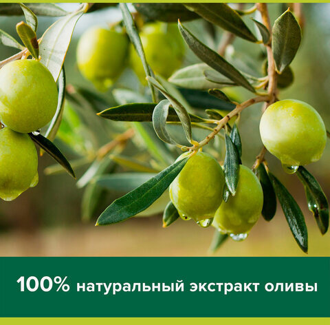 Мыло туалетное 90 г, PALMOLIVE НАТУРЭЛЬ "Олива и увлажняющее молочко", интенсивное увлажнение, 32766, 8693495032766