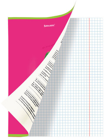 Тетрадь предметная "AVOCADO" 48 л., глянцевый лак, РУССКИЙ ЯЗЫК, линия, подсказ, BRAUBERG, 404282