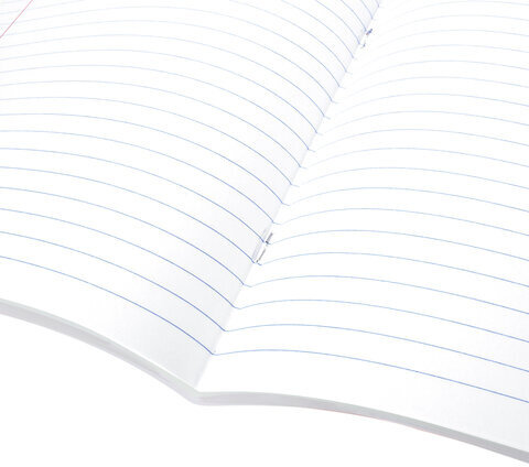 Тетрадь предметная "AVOCADO" 48 л., глянцевый лак, РУССКИЙ ЯЗЫК, линия, подсказ, BRAUBERG, 404282