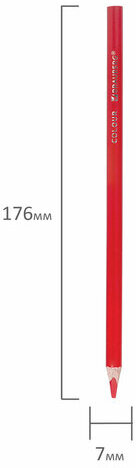 Карандаши цветные пластиковые, BRAUBERG PREMIUM 12 цветов + 1 чернографитный карандаш, трехгранный корпус, грифель 3 мм, 181936